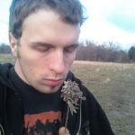 dead flower
