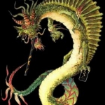 dragon  cab