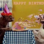 happybdaysk