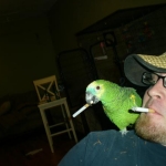 Picture 031