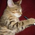 addicted vaper :D