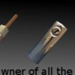Zofryer's hybrids