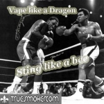 Vape like a dragon sting like a bee