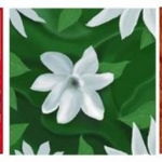 floral and spice flavors