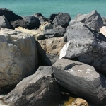 shell island jetty