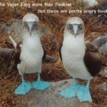 Angry.boobies
