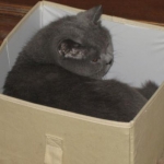He loves curling up in little places.