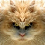 securedownload