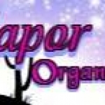 VV Logo 3
For Virgin Vapor