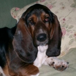 Melvin