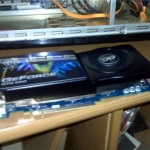 the beast