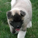 Lil "Vandyl" =)