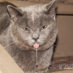 Awe... He Drools!