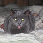 Pbbtthththt!