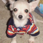 raffy looks like  burt & ernie