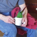 My green cheek likes coffee, here he is trying to get a drink of my friends coffee.