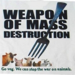 WMD
