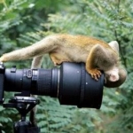 What's In That Camera