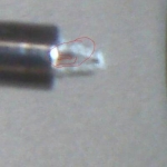 photo1