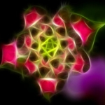 This is known as a Phart (photo art)... heavily photoshopped image of a lantana bloom