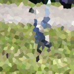 contest3