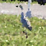 contest4