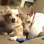 Cassie and Sammie