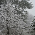 snowpics1 019
