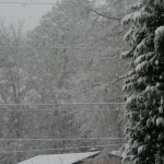 snowpics1 016