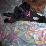 This is LaQuita, my oldest- she'll be 9 in August 2010