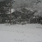snowpics1 009