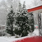 snowpics1 011