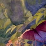 Butterfly painting I did