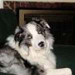 Dakota