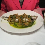 Med sea bass
