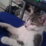 beeker