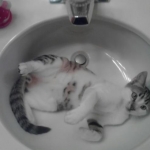 One of my favorite pics on Beekz.