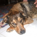 Max