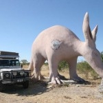 Big Aardvark