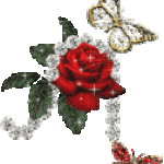 rose sparkle