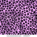 stock photo retro magenta leopard print background 10462177