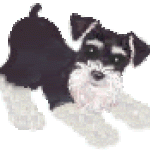 schnauzeranimation[1]
