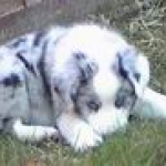 2002 - 6 weeks old
