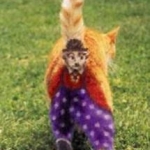 Charlie Chaplan cat