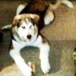 IMG00158[1]