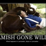 amish gone wild