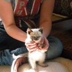 My little girl