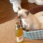 Miller Time