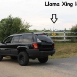 llamacrossing