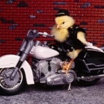 Biker Chick[1]